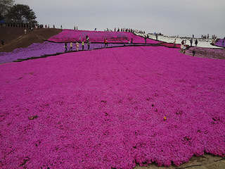 DSC07971.JPG